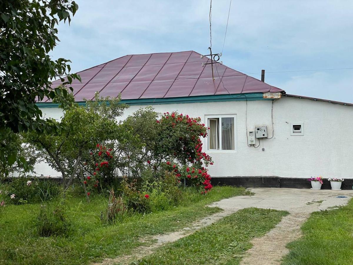 By River 246 Hotel Karakol Exterior photo